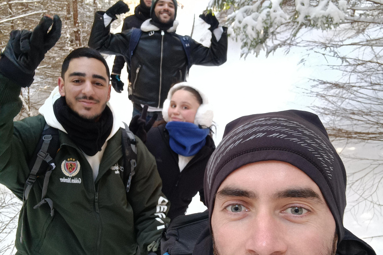 Brasov: Malaiesti Mountain Hut Guided Hike