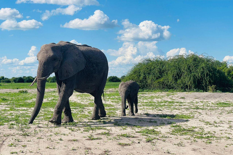 5-Day Chobe and Savuti Camping Safari