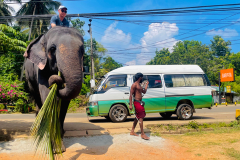 Privat 8 dagars kulturarvstur i Sri Lanka med guide8-dagars Sri Lanka kulturarvstur med guide och förare