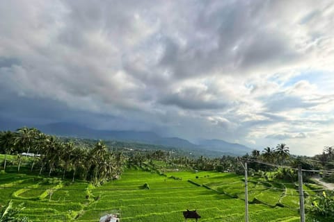 Bali : Private Car Charter With Driver and Guide