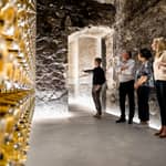 Merano: visita guidata alla cantina con degustazione di spumante, vino e grappa