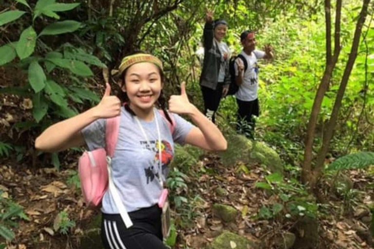 Hoi An: My Son Sanctuary & Secret Waterfall Full-Day Tour