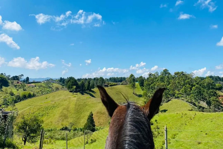 Medellin: Horseback Riding & Craft Beer, The Perfect Plan in the East
