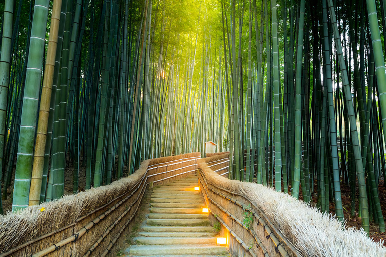 Kyoto, Nara, or Osaka: Private Day Trip with Guide and Car
