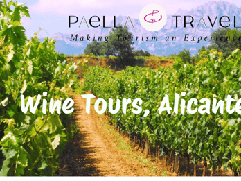 Alicante ; Circuit œnologique Bodegas Vinos, repas et transfert inclus