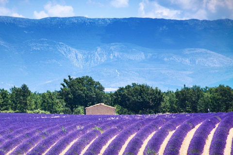 From Aix-en-Provence: Private Luberon Villages Tour