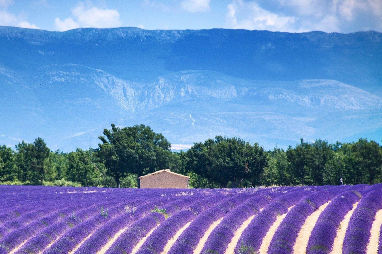 From Aix-en-Provence: Private Luberon Villages Tour