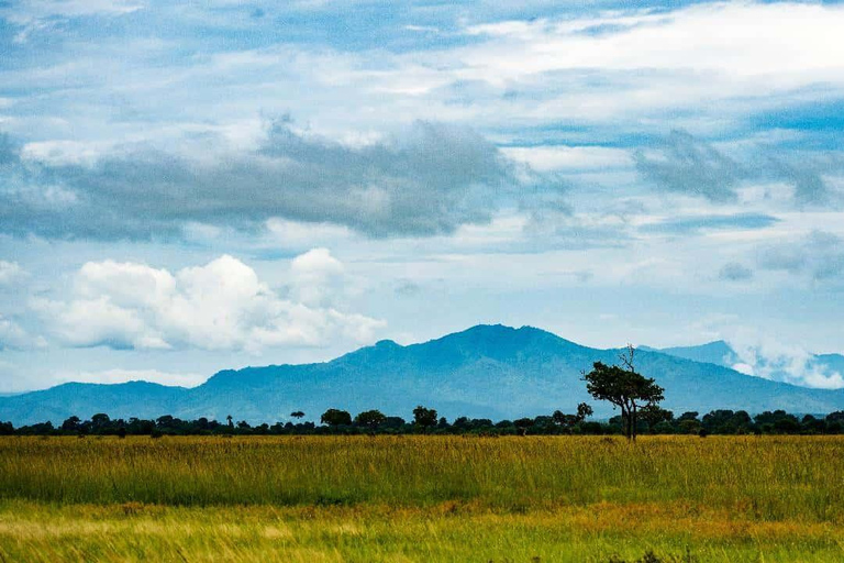 From Zanzibar: Mikumi Safari Day Trip with Flights and Lunch Mikumi Shared Safari without hotel transfer