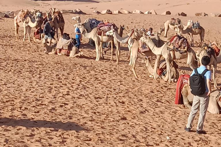 Amman: 2-Day Private City Tour with Airport Pickup