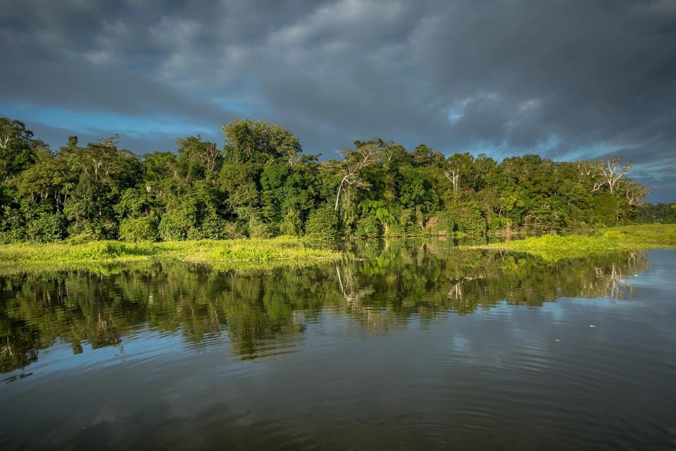 From Cusco | Manu Jungle Excursion 7D/6N | Wonders of Manu - Housity