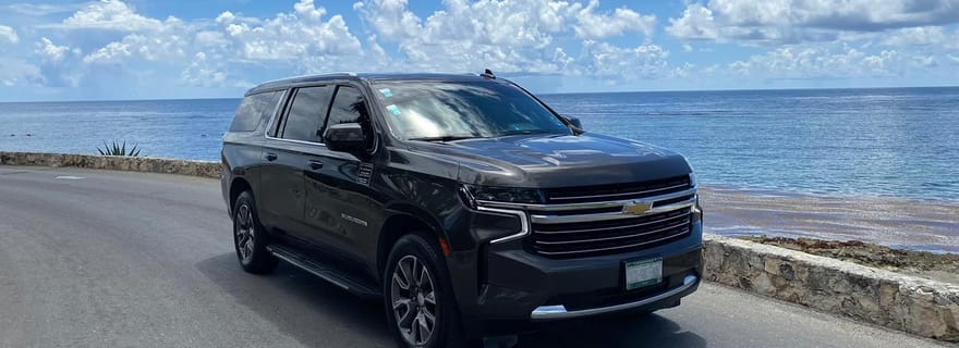 Cancun: Prywatny luksusowy transport w jedną stronę lub w obie strony