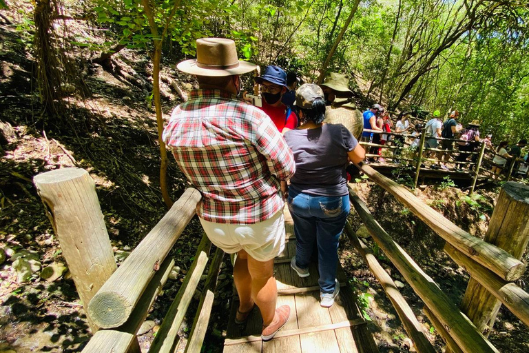 Tour &quot;Bioparque Estrella&quot;, com traslado, safári e ingressosMonterrey: Aventura de safári no Bioparque Estrella