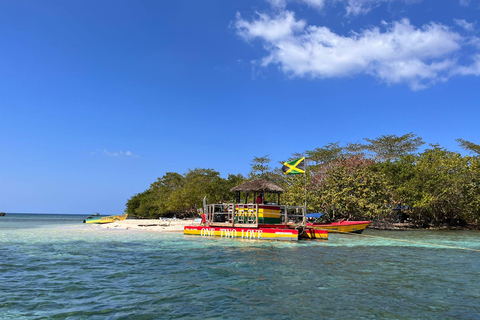 Negril 7 Miles Beach &amp; Booby Cay Boat Tour au départ de Montego Bay