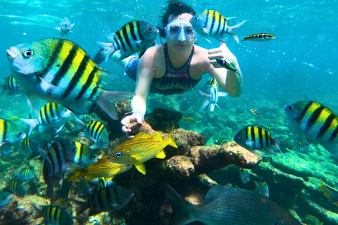 Cartagena: Excursão ao Oceanário das Ilhas do Rosário com SnorkelingPasseio de lancha rápida com 3 paradas no Oceanário das Ilhas do Rosário