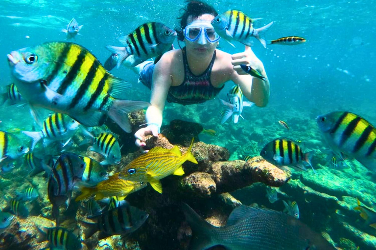 Cartagena: Excursão ao Oceanário das Ilhas do Rosário com SnorkelingPasseio de lancha rápida com 3 paradas no Oceanário das Ilhas do Rosário