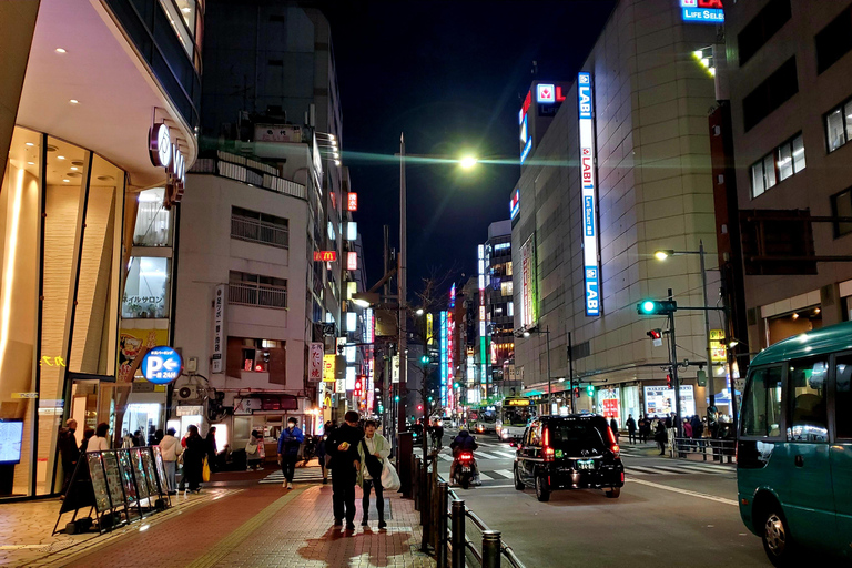 Tokyo: Privat heldagstur med engelsk chaufförHeldag Tokyo Personlig privat tur med engelsk förare