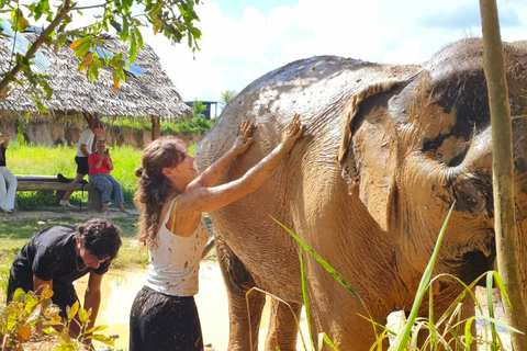 Cambodia Elephant Sanctuary, Pickup and drop off included