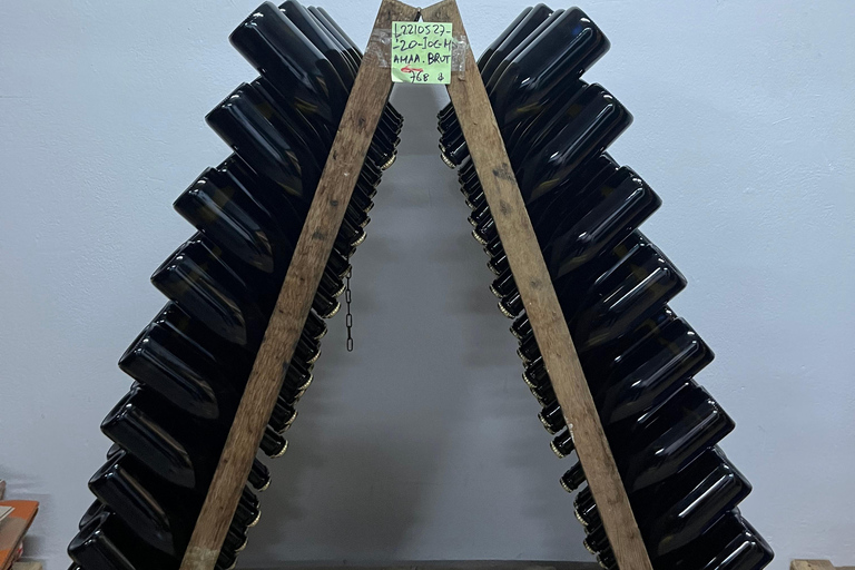 From Athens: Nemea Wine Tour with Corinth Canal Stop