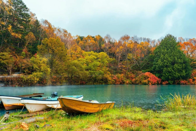 Tokyo: Nikko World Heritage Sites Scenic Private Day Tour