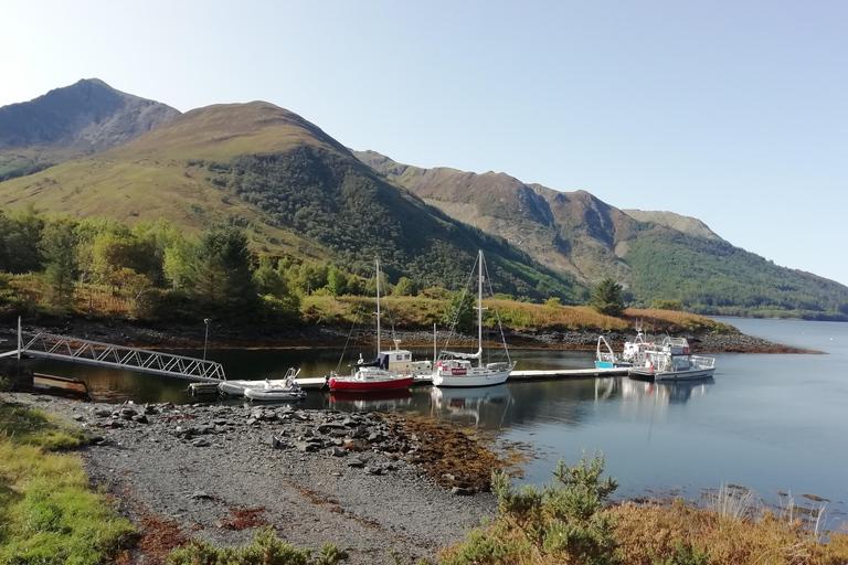 Stirling: Open water snorkel tour