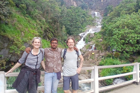 ELLA Lipton Seat Tea Test & Pluck 9Arch, Waterfalls, & Food Lipton's Seat, Little Adam Peak, 9 Arch, Ravana Waterfalls