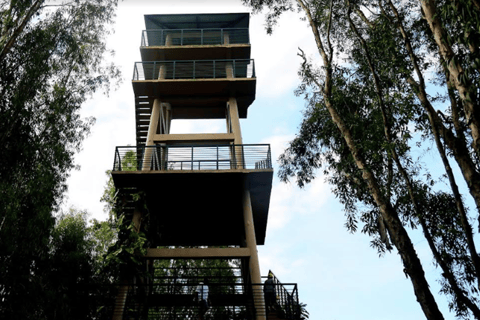 HCM/Chau Doc : Découvrez Tra Su et Dai Quan Samedi Visite d'une jounéeAu départ de Chau Doc : excursion écologique dans la forêt de Tra Su et le village de Dai Quan Sat