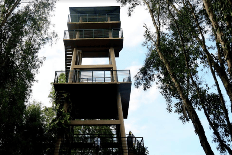 HCM/Chau Doc : Découvrez Tra Su et Dai Quan Samedi Visite d'une jounéeAu départ de Chau Doc : excursion écologique dans la forêt de Tra Su et le village de Dai Quan Sat