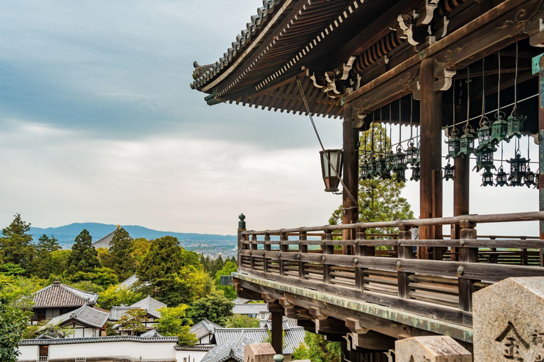 Osaka: Nara Private Day Tour