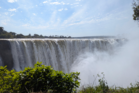 Victoria Falls: Guided Tour with Rainforest & Big Tree Full Heritage Experience: Falls, Rail & City