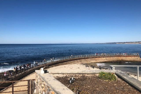 San Diego: Giro panoramico di La Jolla di 10 km