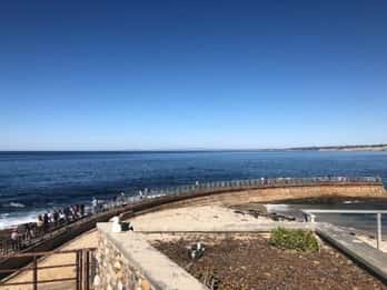 San Diego La Jolla Scenic 10K löptur
