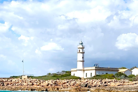 Private Catamaran Cruise | South Mallorca Half Day Experience