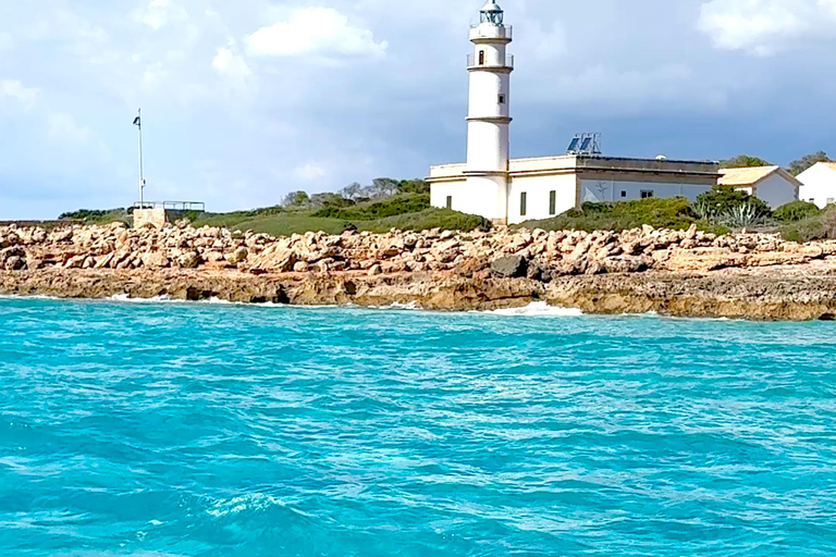 Private Catamaran Cruise | South Mallorca Half Day Experience