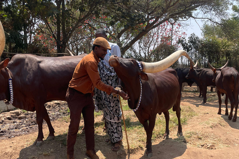 Kigali: Tour cultural por el palacio real, el museo y el memorial.Kigali: Visita cultural al palacio real, el museo y el memorial