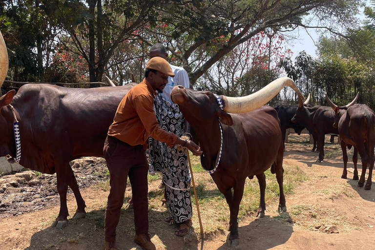 Kigali: Tour cultural por el palacio real, el museo y el memorial.Kigali: Visita cultural al palacio real, el museo y el memorial