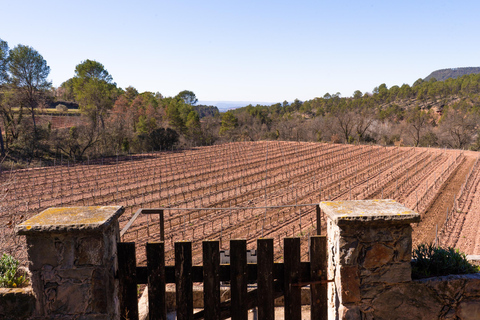 Barcelona: Montserrat, Winery Tour & Lunch with Wine Tasting