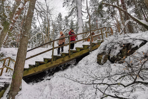 Vanuit Tallinn: Lahemaa Nationaal Park 3 Waterval Wandeling