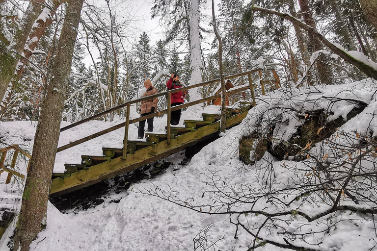Vanuit Tallinn: Lahemaa Nationaal Park 3 Waterval Wandeling