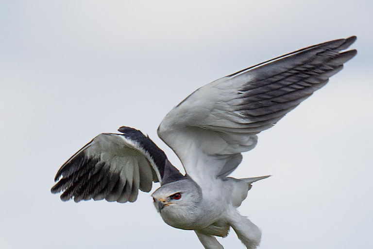 3-Days Unforgettable Luxury Safari to Tanzania