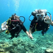 Bali: Discover Scuba Diving & WWII Liberty Wreck at Tulamben Bali: Discover Scuba Diving & WWII Liberty Wreck at Tulamben