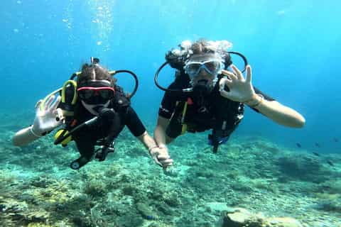 Bali: Discover Scuba Diving & WWII Liberty Wreck at Tulamben - Image 3
