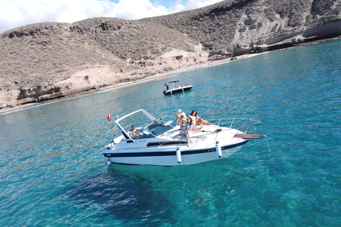 Costa Adeje: Dolfijn- en snorkelcruise met hapjes en drankjesPrivévaart