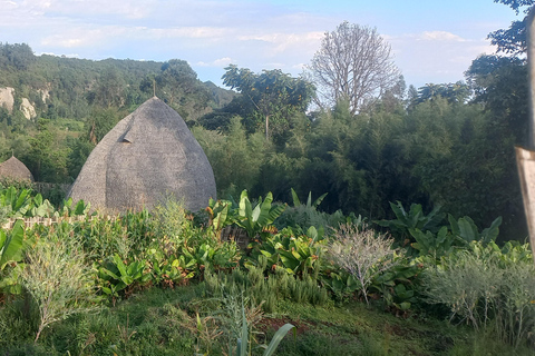 Etiopia Najlepsze 16-dniowe wycieczki, trekking w góry, wulkan, plemiona16 dni góry Simien, depresja Danakil, plemię Omo Vallely