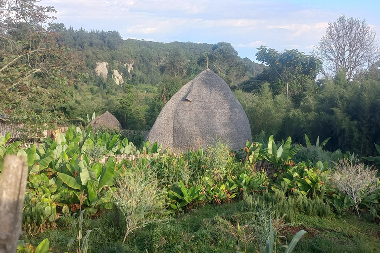 Etiopia Najlepsze 16-dniowe wycieczki, trekking w góry, wulkan, plemiona16 dni góry Simien, depresja Danakil, plemię Omo Vallely