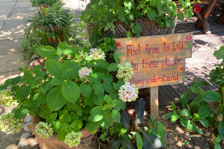 من دوبروفنيك: جولة بالقارب من دوبروفنيك: جولة على متن قارب &quot;هوب أون هوب أوف&quot; في جزر إيلافيتي