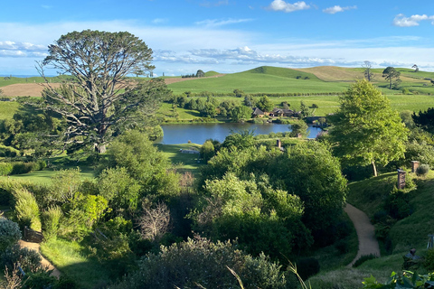 Från Auckland: Hobbiton &amp; Hamilton Gardens tur i liten grupp