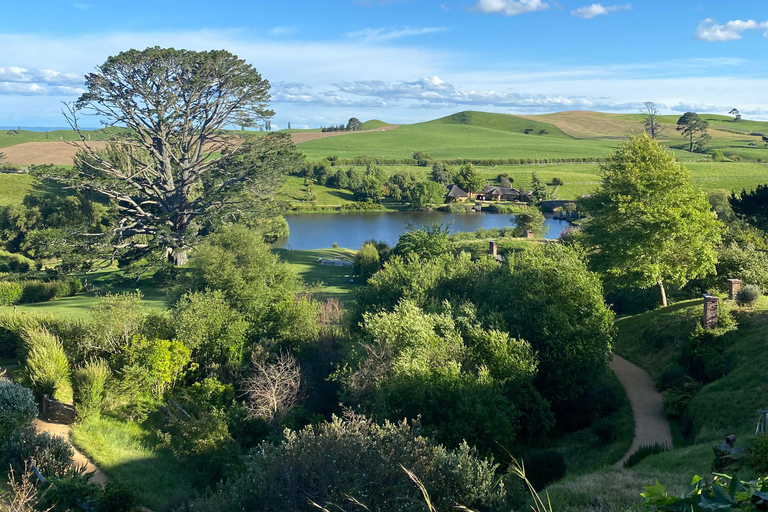 Från Auckland: Hobbiton Movie Set och rundtur i Waitomo-grottorna