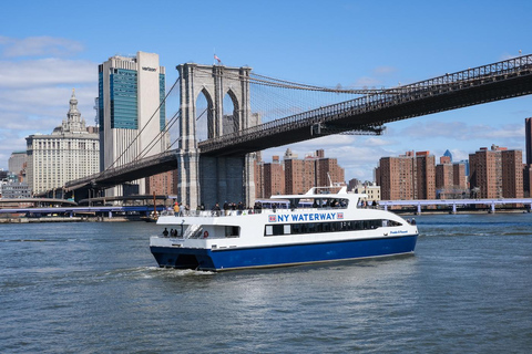 NYC Must-See Cruise (80min)