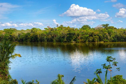 Från Puerto Mladonado: Sjön Sandoval Tambopata