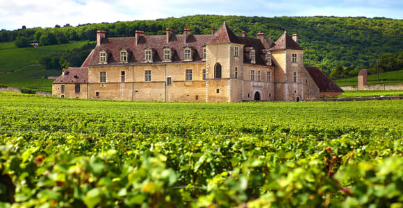 Von Dijon: Tour durch die Weinberge der Côte de Nuits und Côte de Beaune
